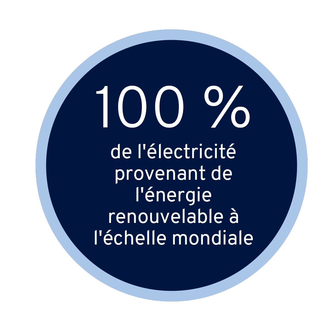 100 % de l'électricité provenant de l'énergie renouvelable à l'échelle mondiale